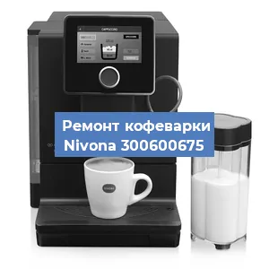 Замена прокладок на кофемашине Nivona 300600675 в Нижнем Новгороде